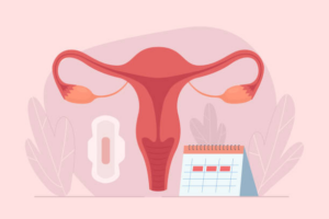 Tout savoir sur la periode menstruelle et d’ovulation de la femme